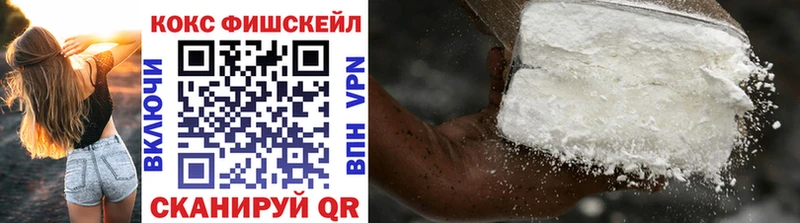 Купить где  Няндома  COCAIN FishScale 