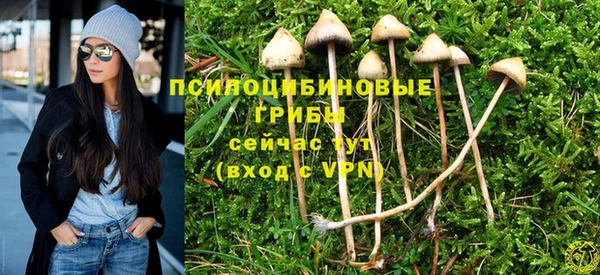 мескалин Касимов